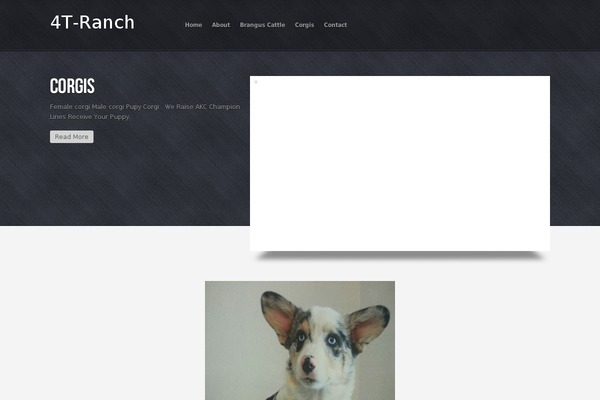Rolex theme site design template sample