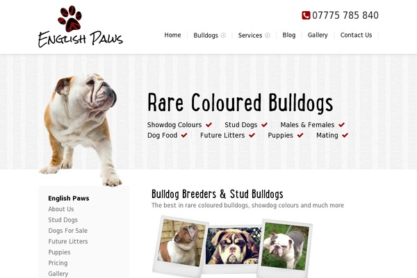 Site using Elementskit-lite plugin