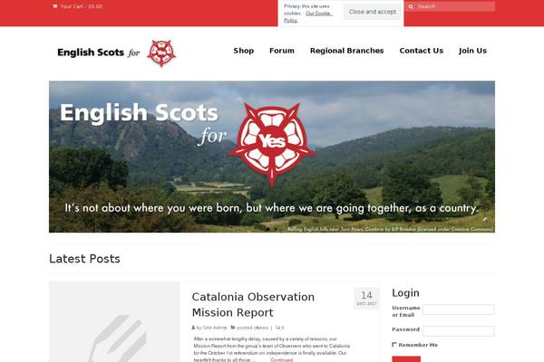Virtue theme site design template sample