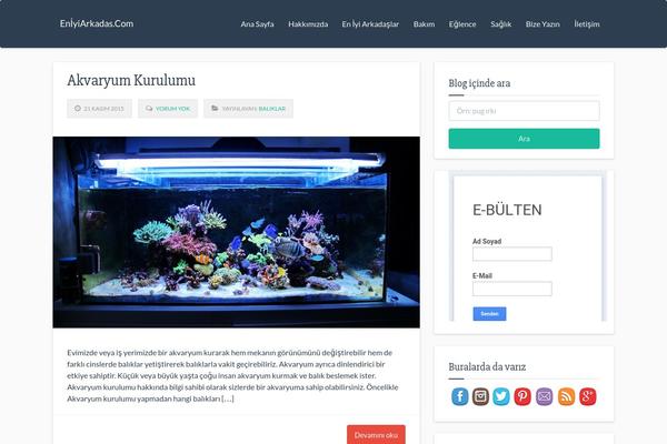 eniyiarkadas.com site used Responsive Deluxe