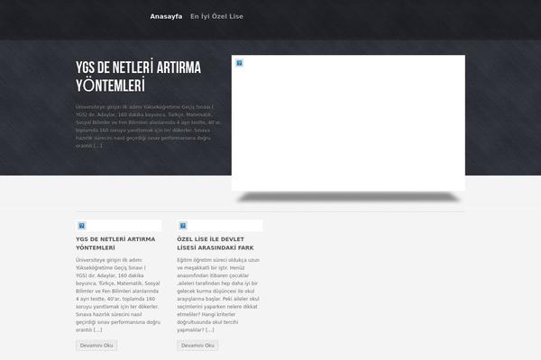 Rolex theme site design template sample