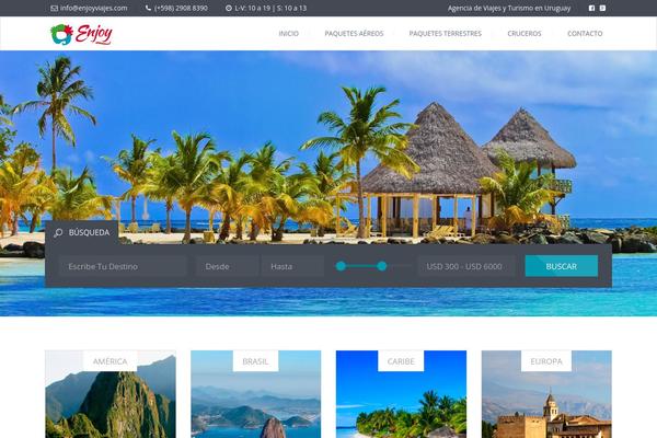 Enjoy theme site design template sample