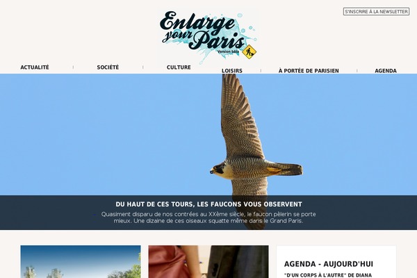 eyp WordPress theme, websites list used eyp theme eyp theme websites examples