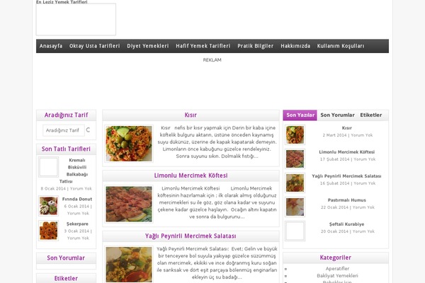 Wpt-life theme site design template sample