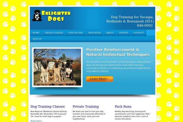 Local Business theme site design template sample