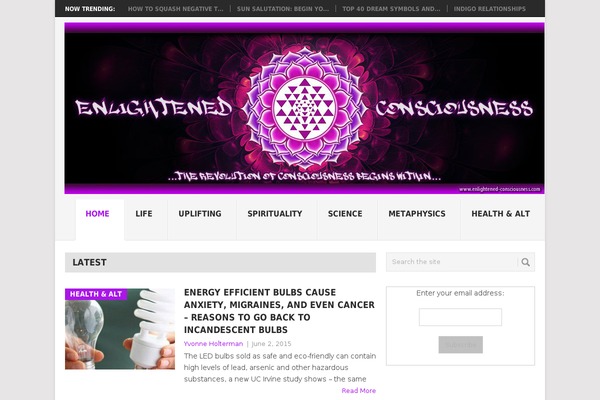 Iconic One Pro theme site design template sample
