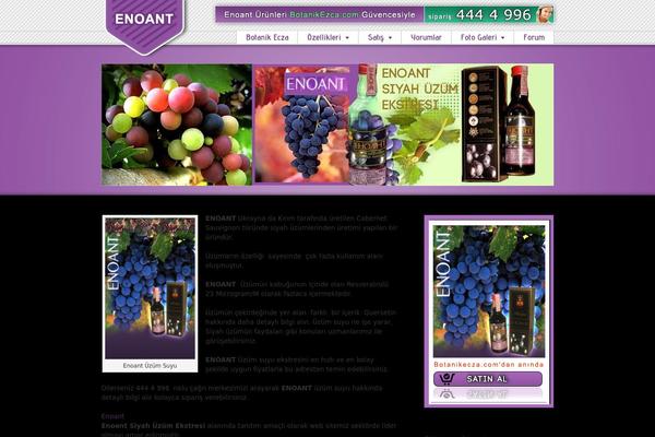 Striking theme site design template sample