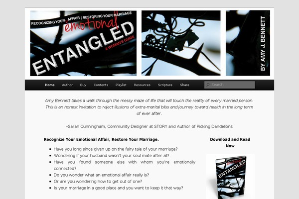 Twenty Eleven theme site design template sample