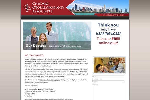 Chicago theme site design template sample