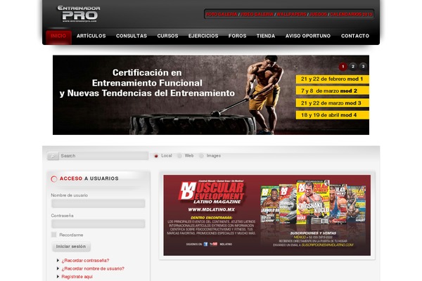 Shell Lite theme site design template sample
