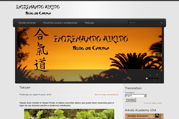 entrenandoaikido.com site used Planshet