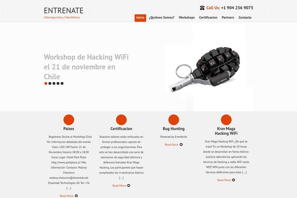 entrenate.info site used SKT IT Consultant