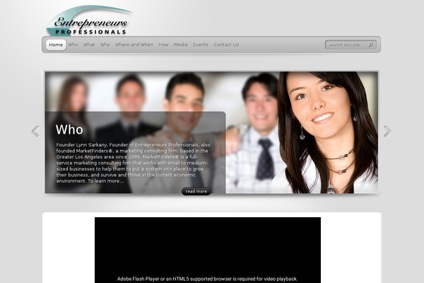 TheProfessional theme site design template sample