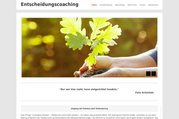 Bizz theme site design template sample