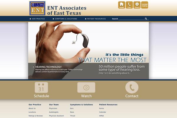 enttyler.com site used Fuel Theme