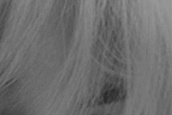 Ego theme site design template sample