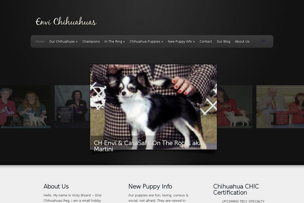 Envisioned theme site design template sample