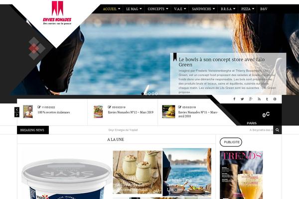 News-maxx theme site design template sample