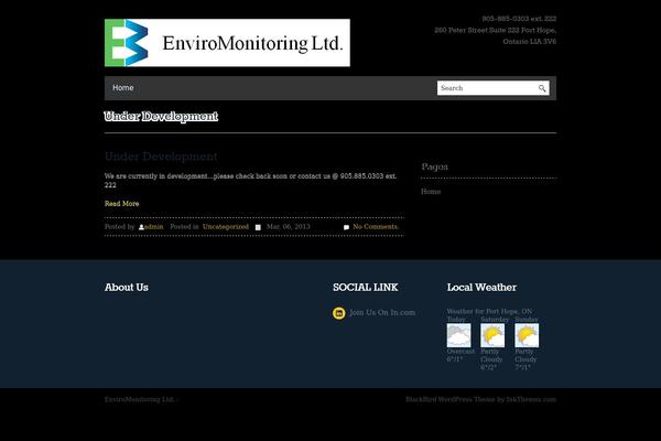BlackBird theme site design template sample