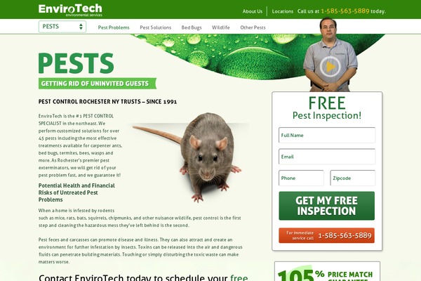 Accelerate theme site design template sample