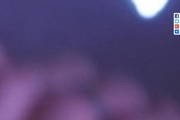 Parallax theme site design template sample