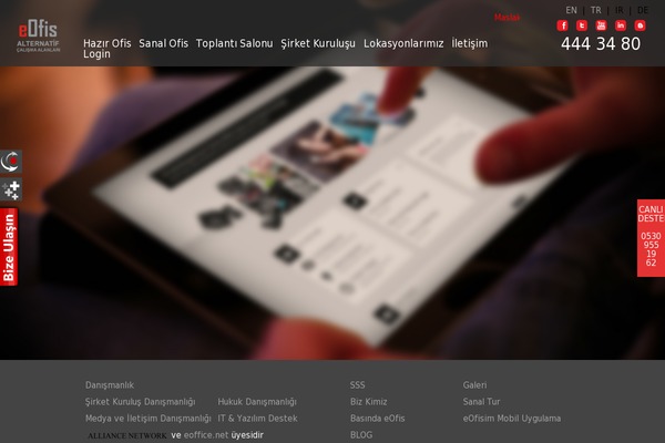 ronika_v.1.3 theme websites examples
