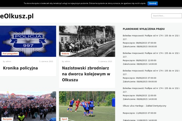 Magazino theme site design template sample