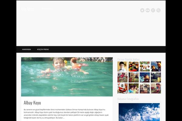 Pinboard theme site design template sample