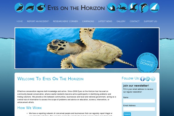 Site using Advanced Twitter Profile Widget plugin