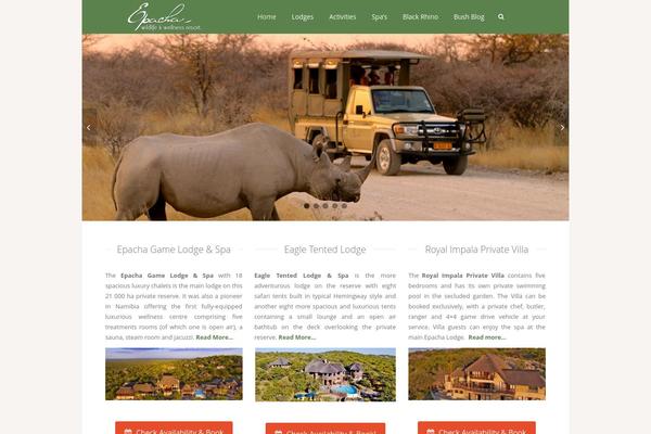 Vivacity theme site design template sample