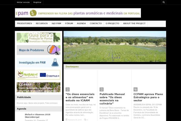 Multinews theme site design template sample
