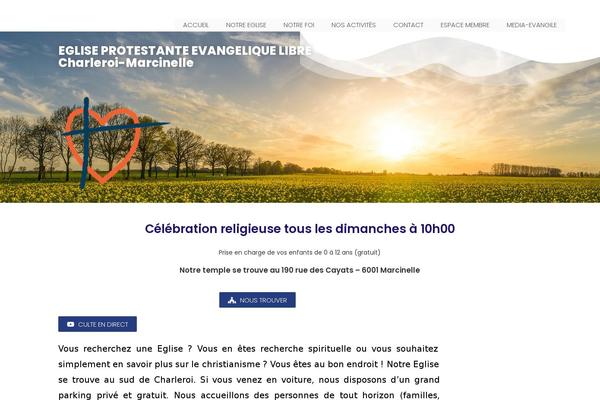 Site using Wp-edit-password-protected plugin