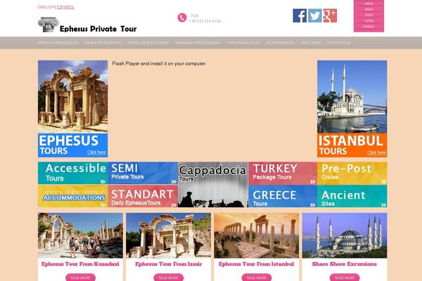 Site using WP Social Sharing plugin