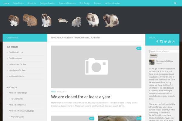 Hueman theme site design template sample