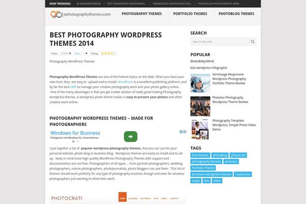 Point theme site design template sample