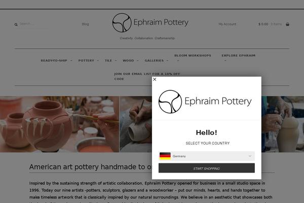 Site using Klaviyo plugin