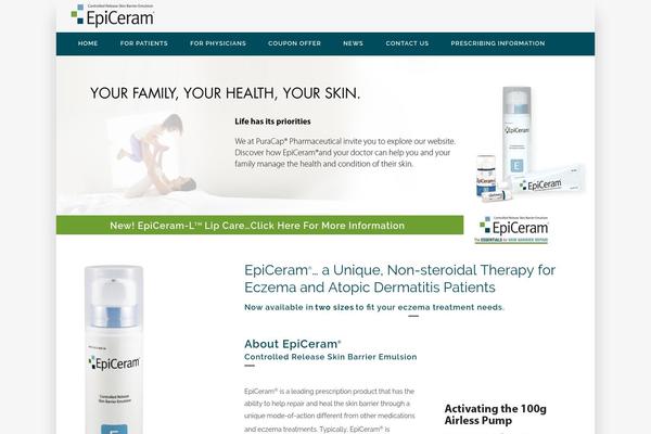 Bridge theme site design template sample