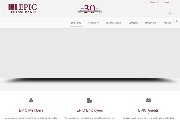 Circles theme site design template sample