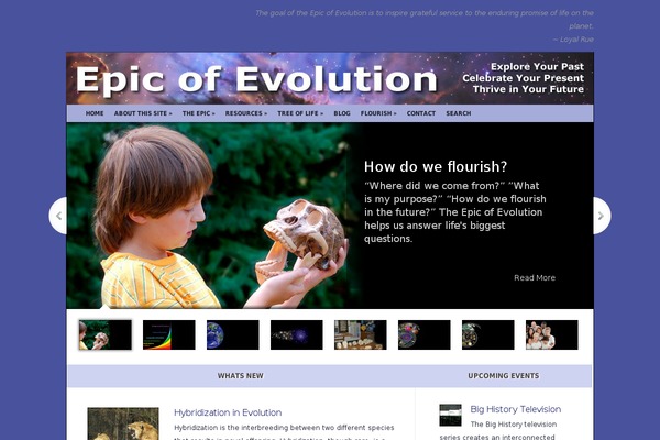 Aggregate theme site design template sample
