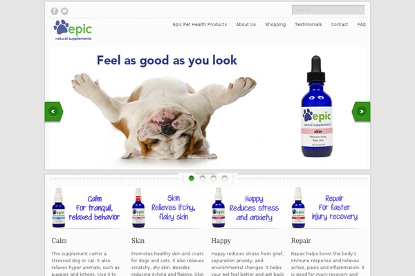 goldeneagletheme_new theme websites examples