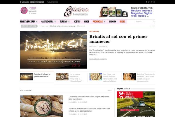 TrueNews theme site design template sample