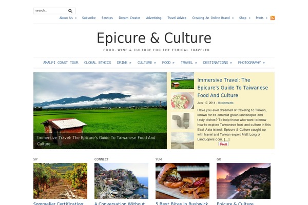 Chic Lite theme site design template sample