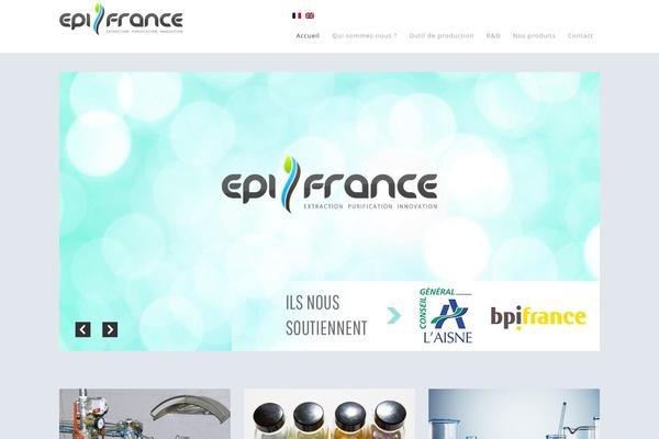 Epik theme site design template sample