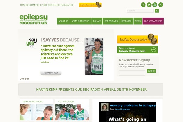 epilepsy WordPress theme, websites list used epilepsy theme epilepsy theme websites examples