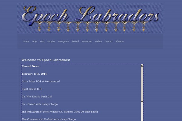 Grey Opaque theme site design template sample