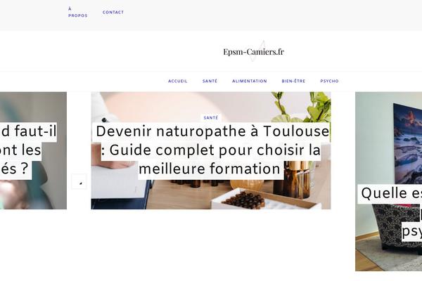 Vilva theme site design template sample