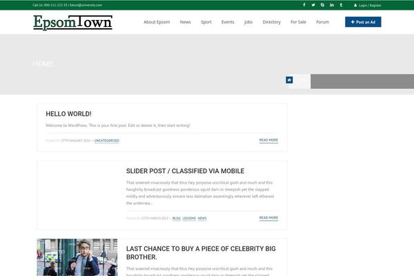 Directory-theme theme site design template sample