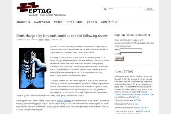 Delicate theme site design template sample