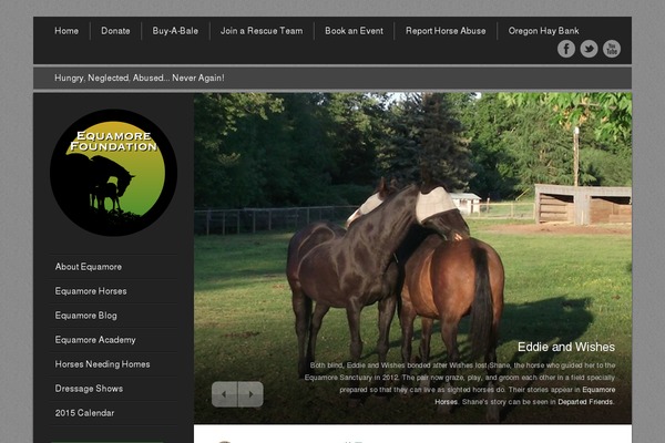 Site using CPO Widgets plugin