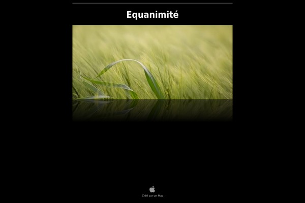 Capture theme site design template sample